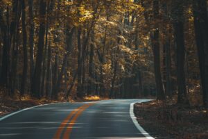 asphalt, forest, road-1867667.jpg